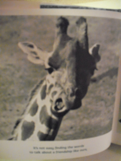 Friends to the End: The True Value of Friendship