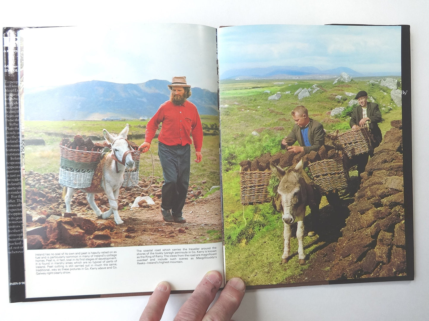 e82cb568-81f1-488c-8755-29e9616a00ff