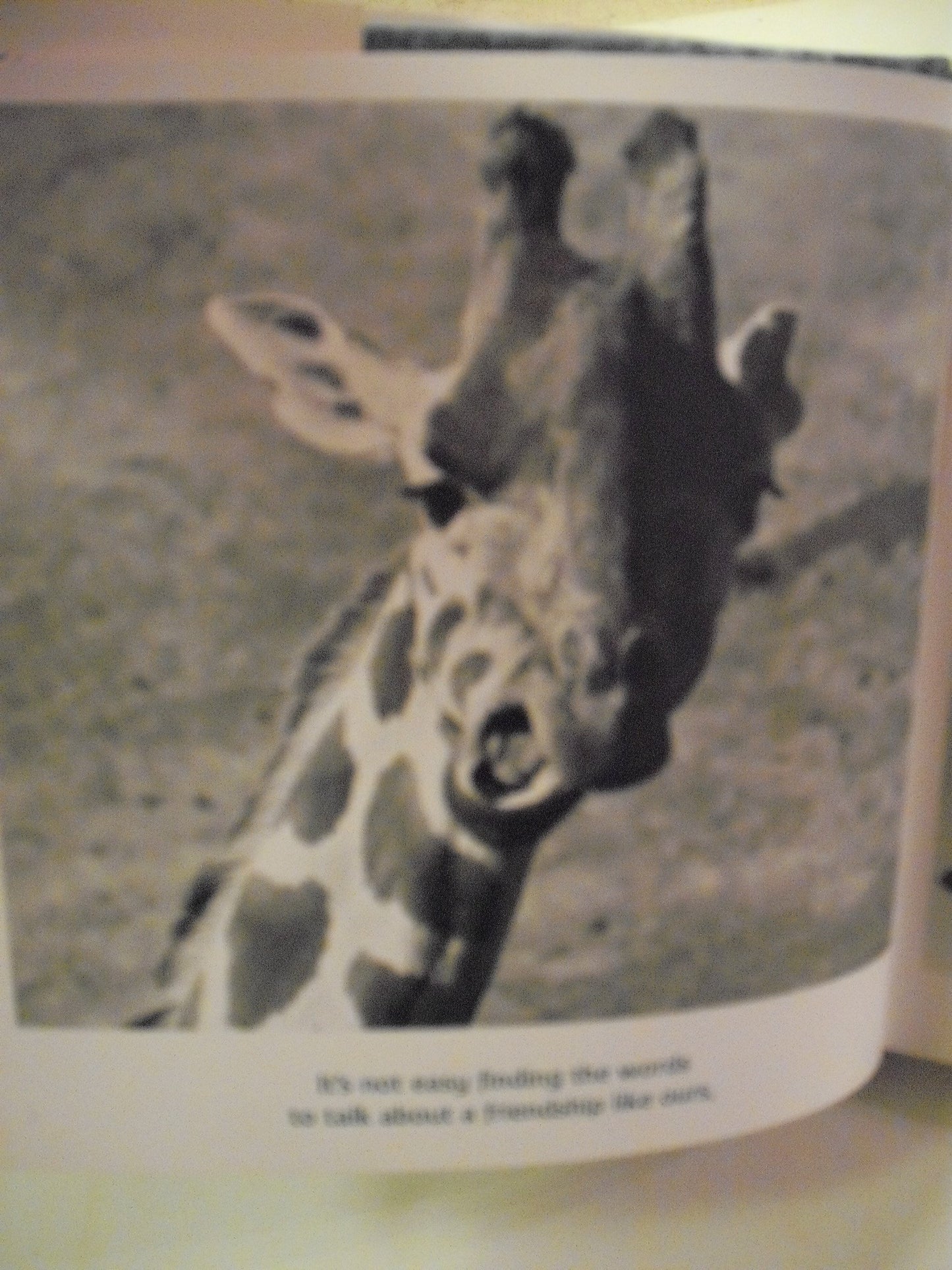 Friends to the End: The True Value of Friendship