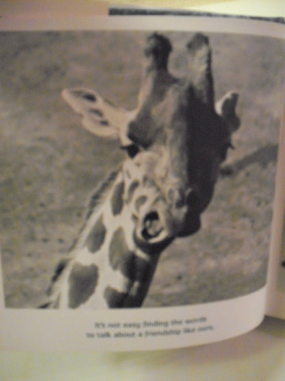 Friends to the End: The True Value of Friendship