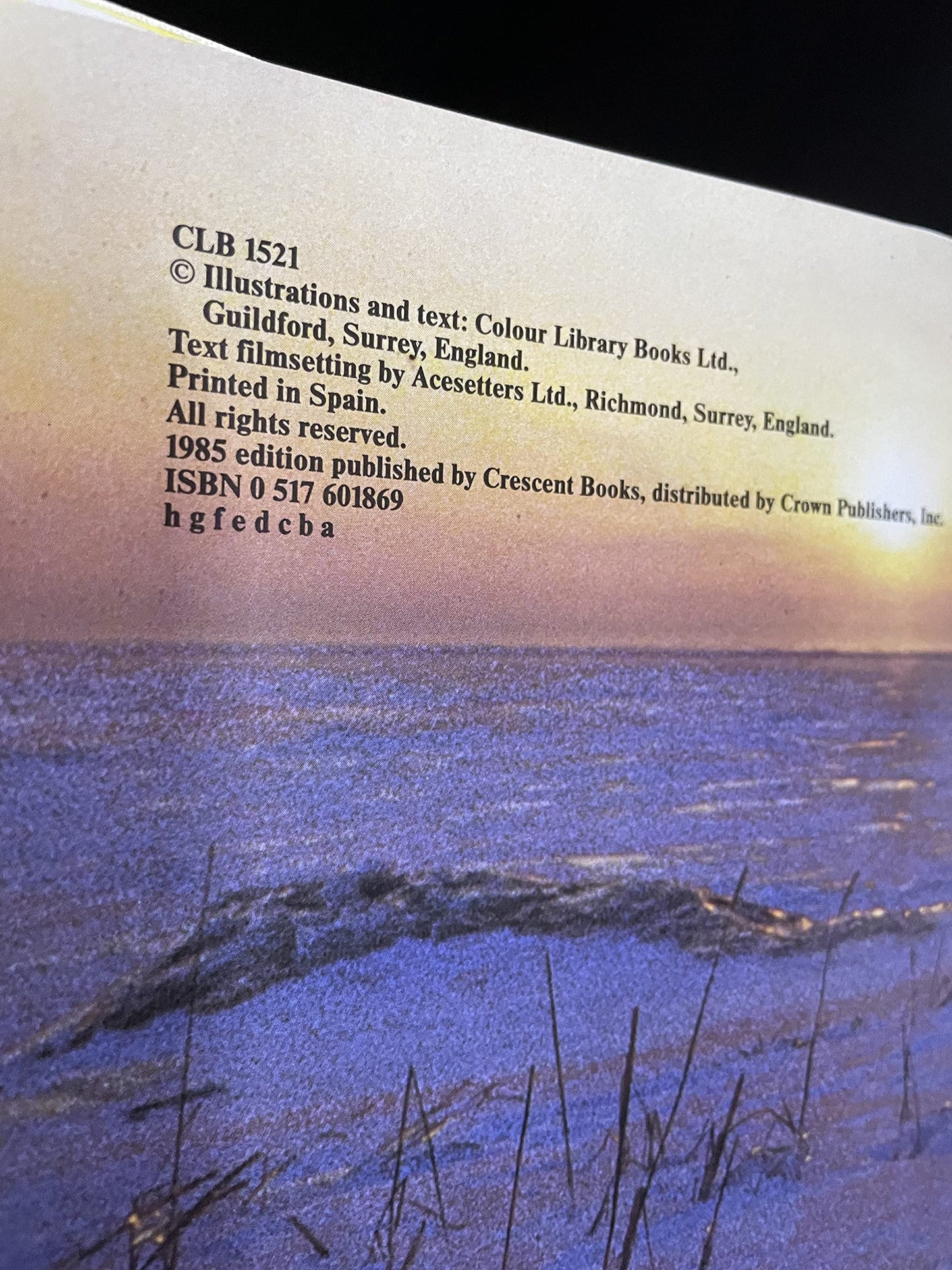 3f73c696-df1a-4b2f-8293-788ebd9afa1c