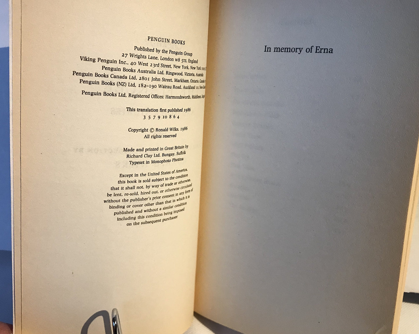 The Fiancee and Other Stories (Penguin Classics)