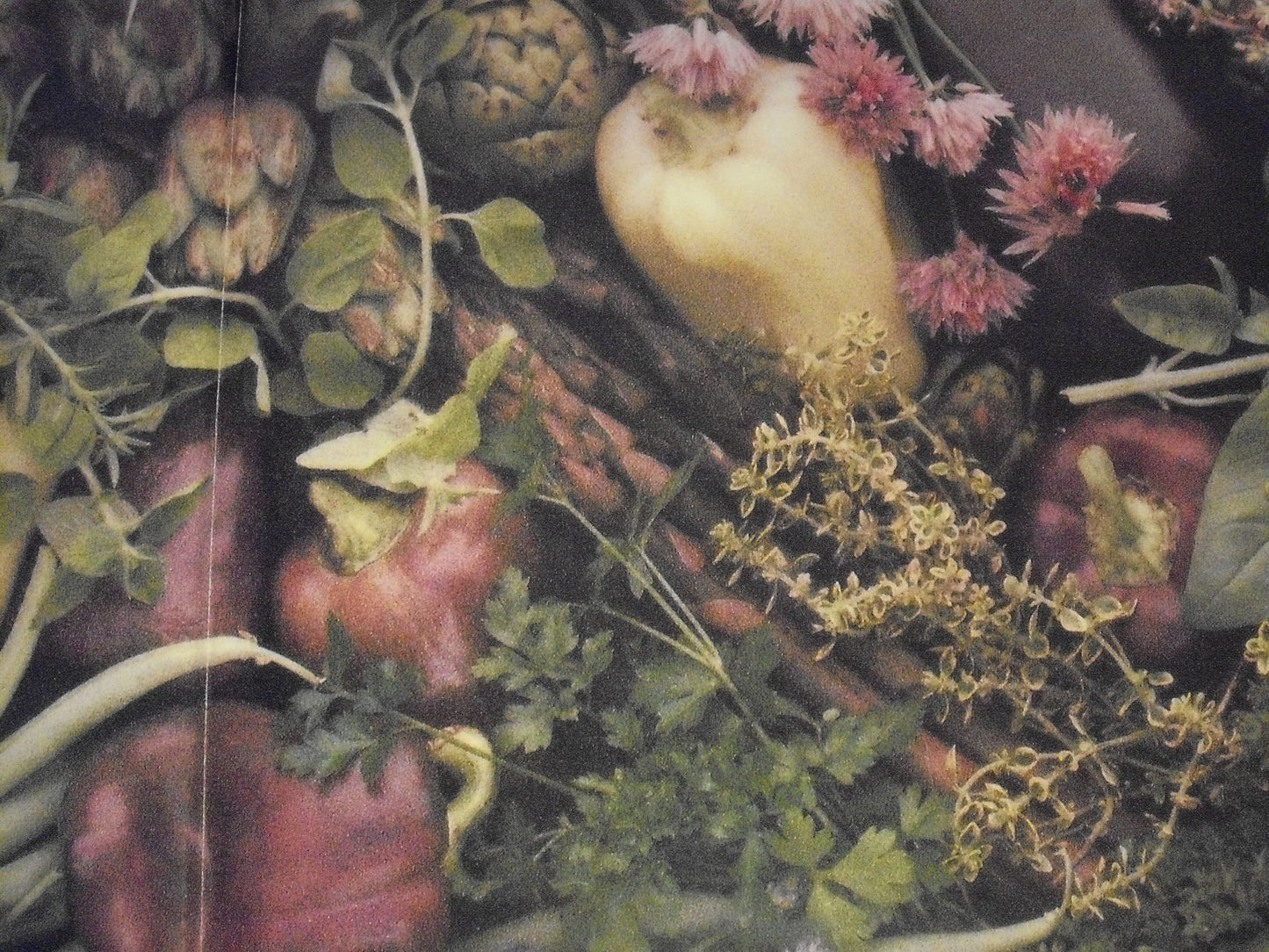 Herbs: A Country Garden Cookbook