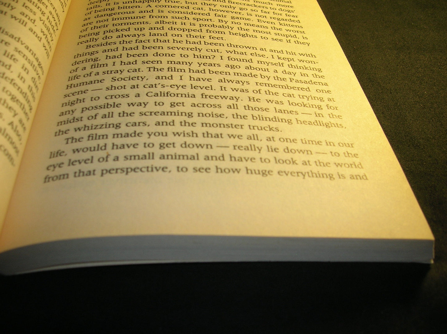 The Cat Who Came for Christmas