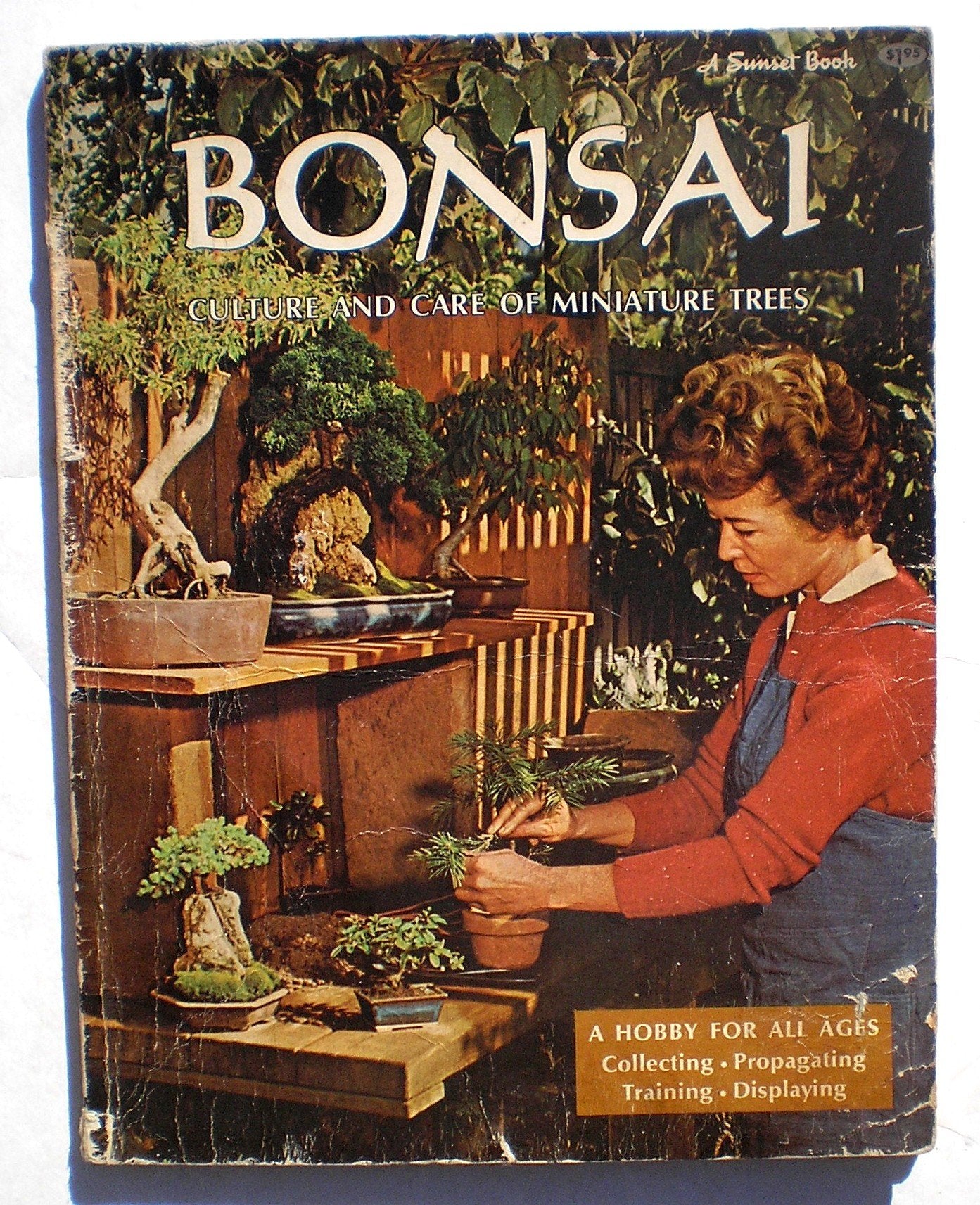 Bonsai: Culture and Care of Minature Trees