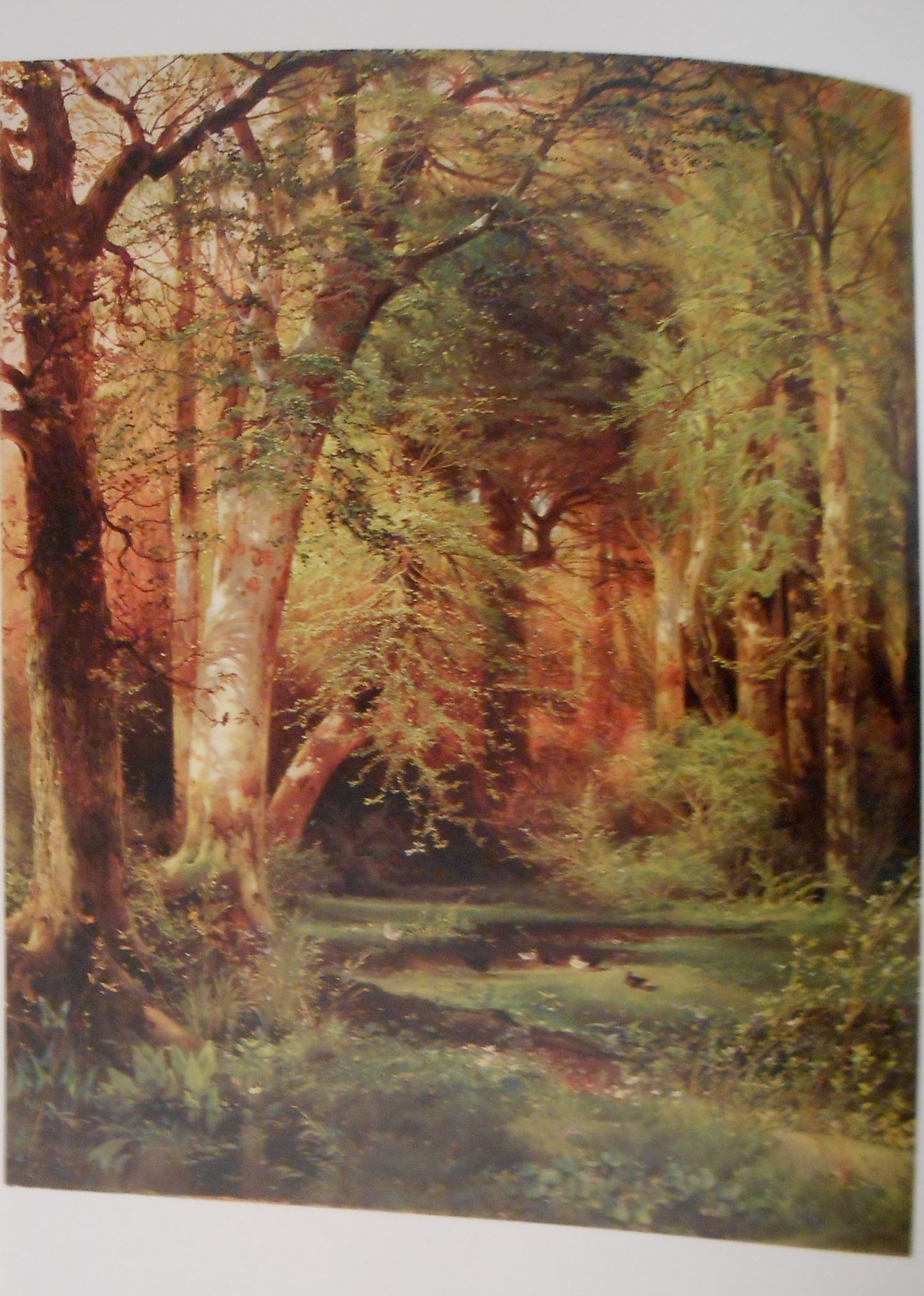 Thomas Moran
