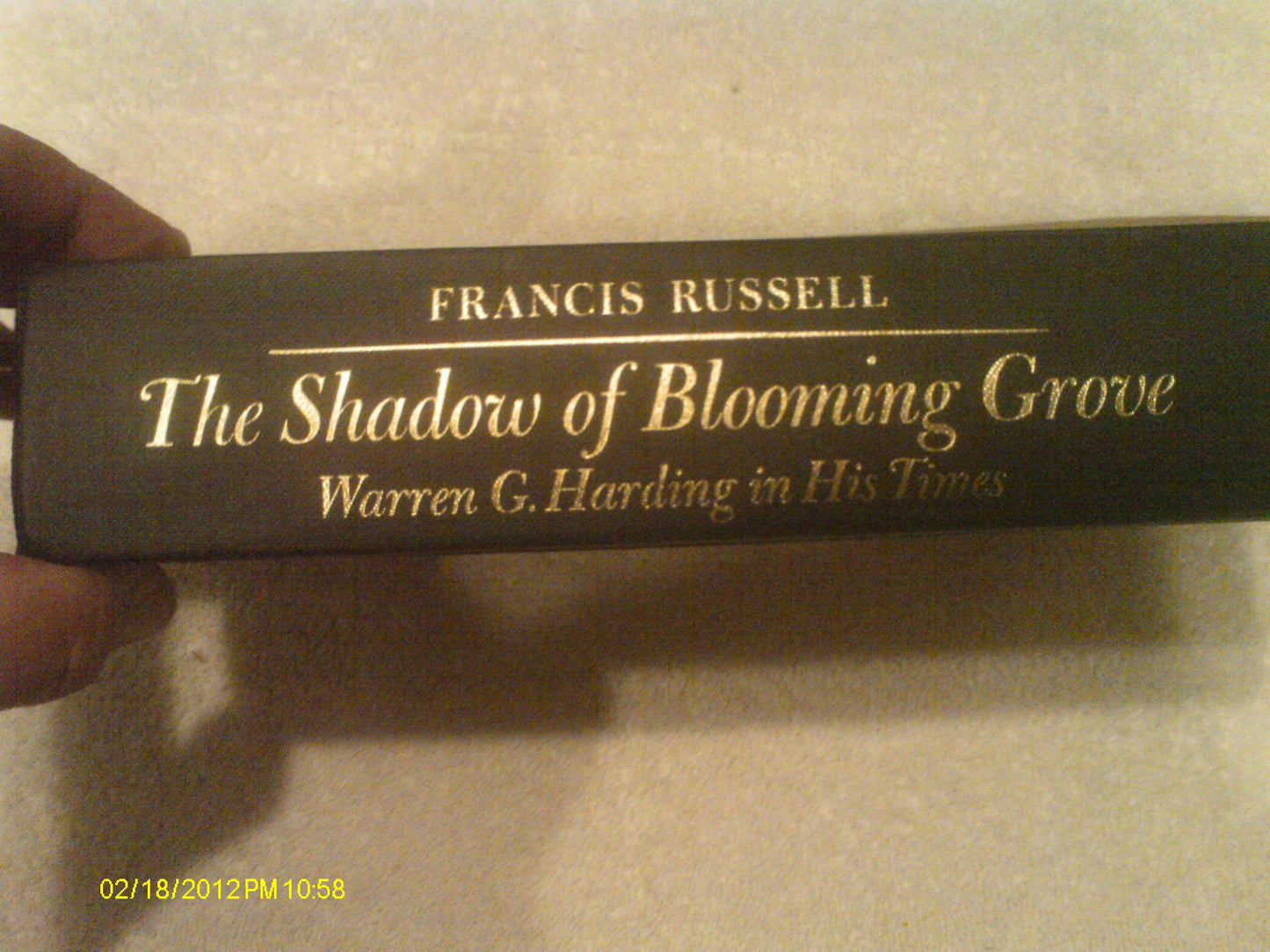 The Shadow of Blooming Grove: Warren G. Harding in His Times