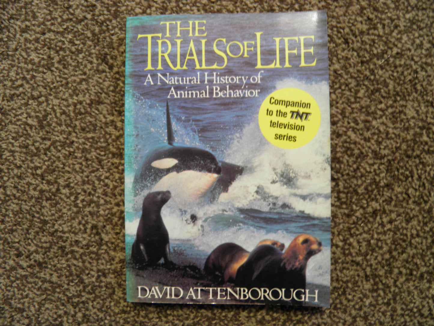The Trials of Life : A Natural History of Animal Behavior
