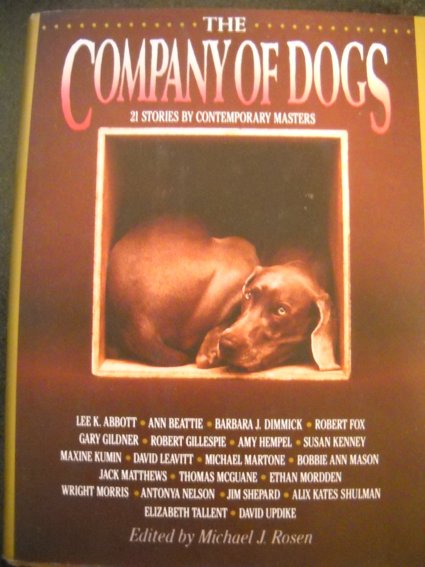 The Company of Dogs: 22 Stories by Contemporary Masters