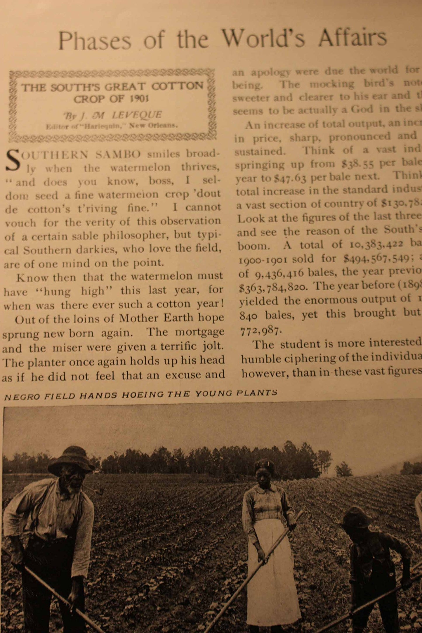 The Pruning Book