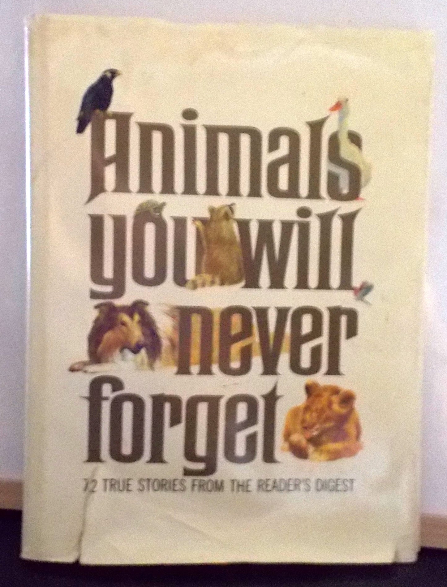Animals You Will Never Forget