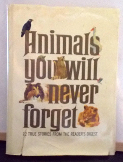 Animals You Will Never Forget