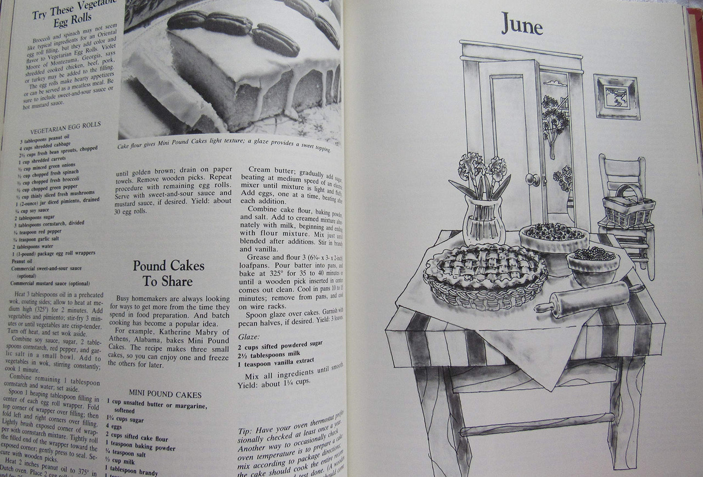 Southern Living 1986 Annual Recipes (Southern Living Annual Recipes)