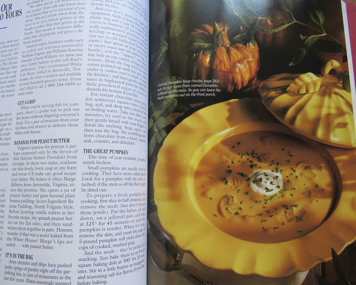 Southern Living 1996 Annual Recipes (Southern Living Annual Recipes)
