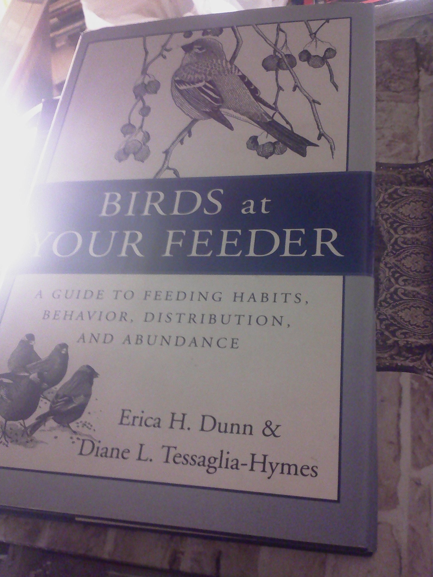 Birds at Your Feeder