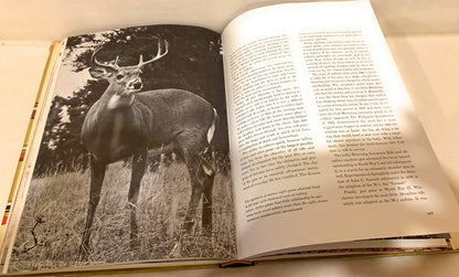 The fireside book of guns