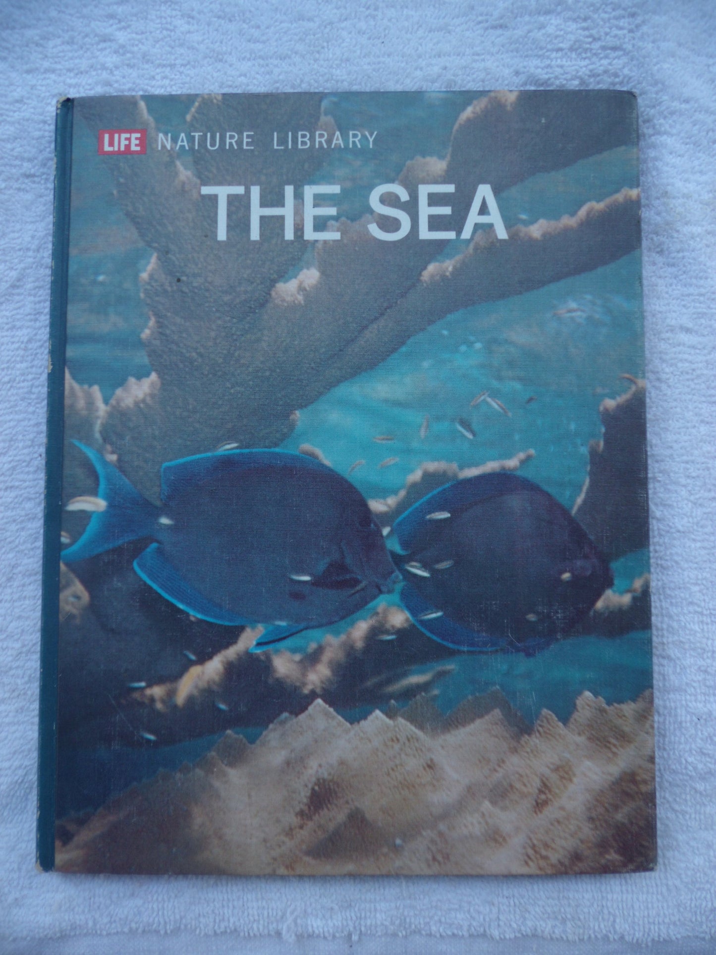 Sea * Life Nature Library