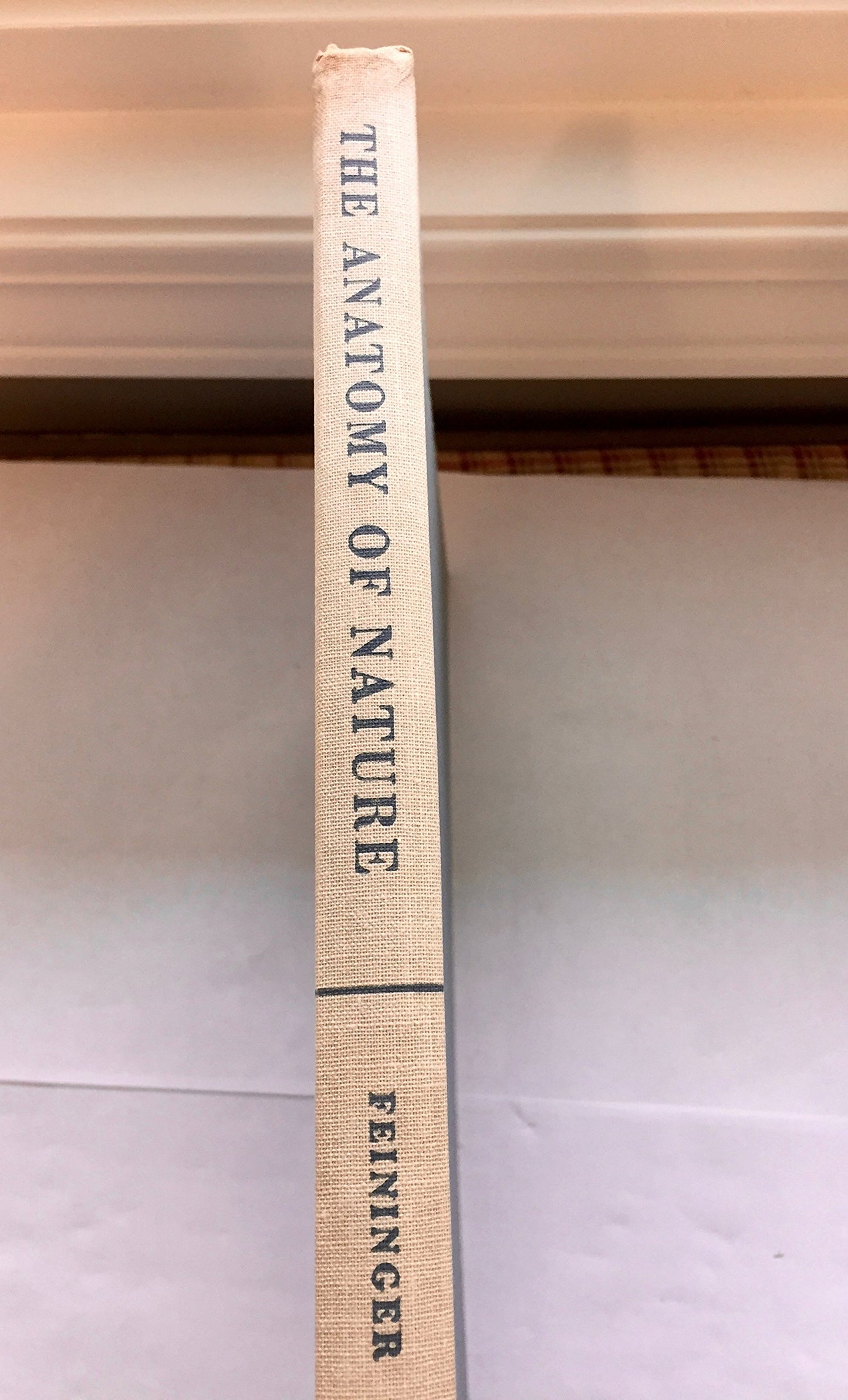The Anatomy of Nature: How Function Shapes the Form and Design of Animate and Inanimate Structures Throughout the Universe