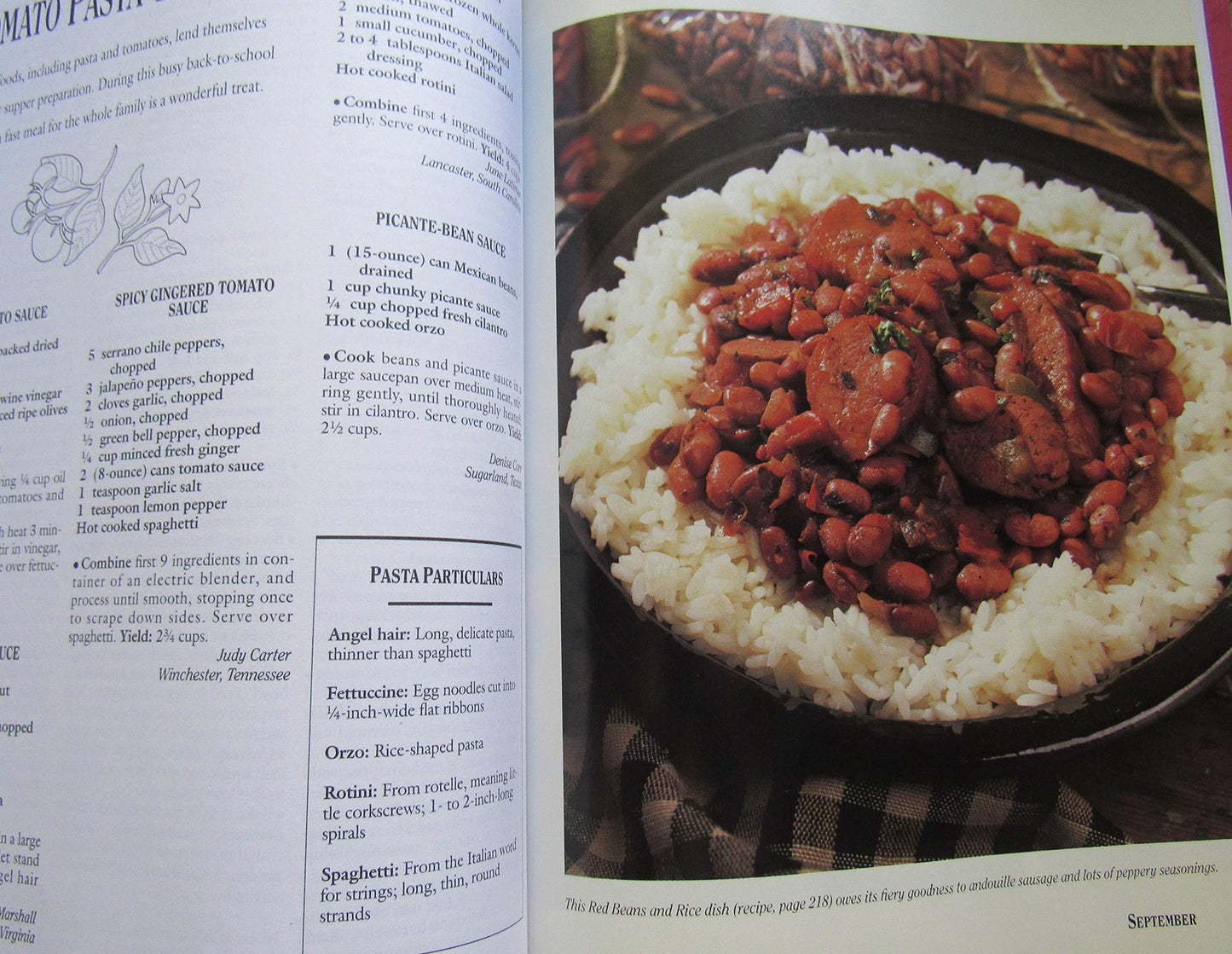 Southern Living 1996 Annual Recipes (Southern Living Annual Recipes)