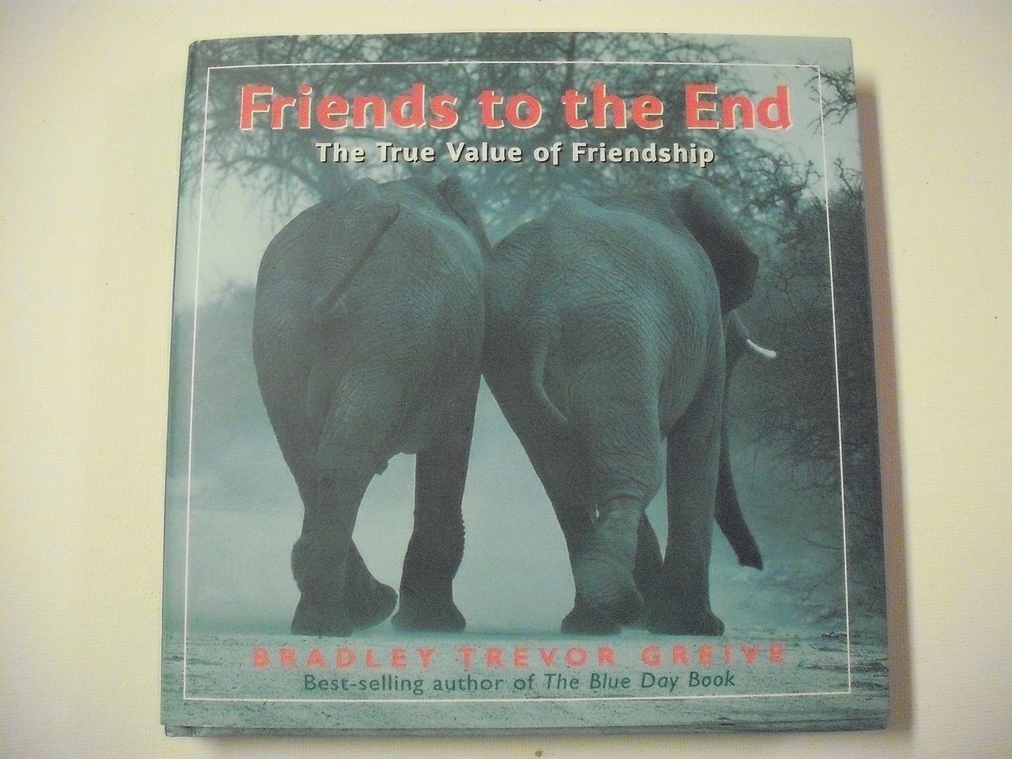 Friends to the End: The True Value of Friendship