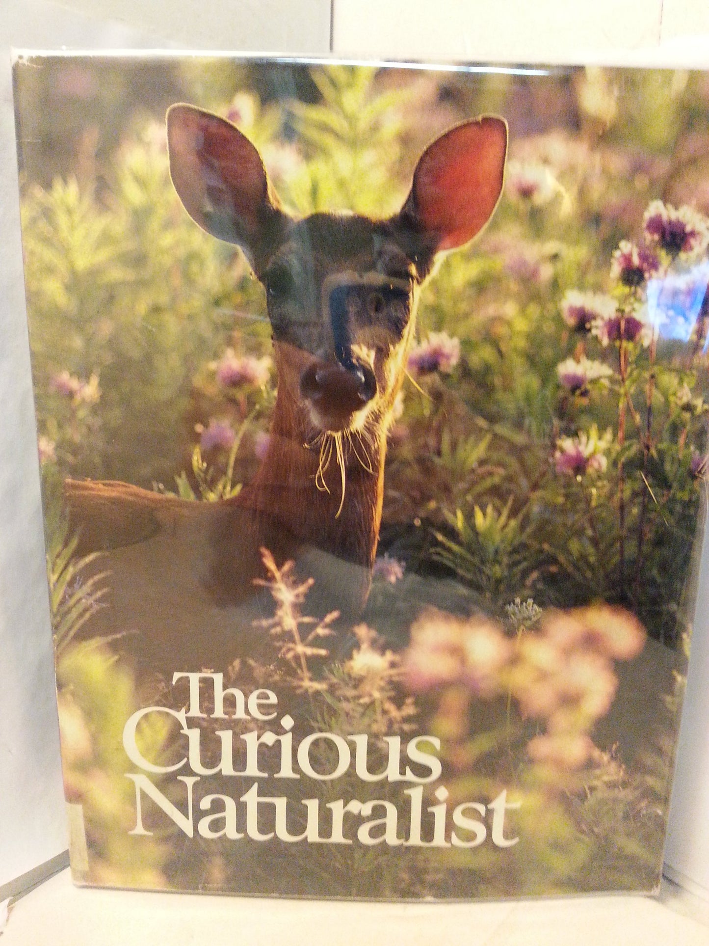The Curious Naturalist/Deluxe
