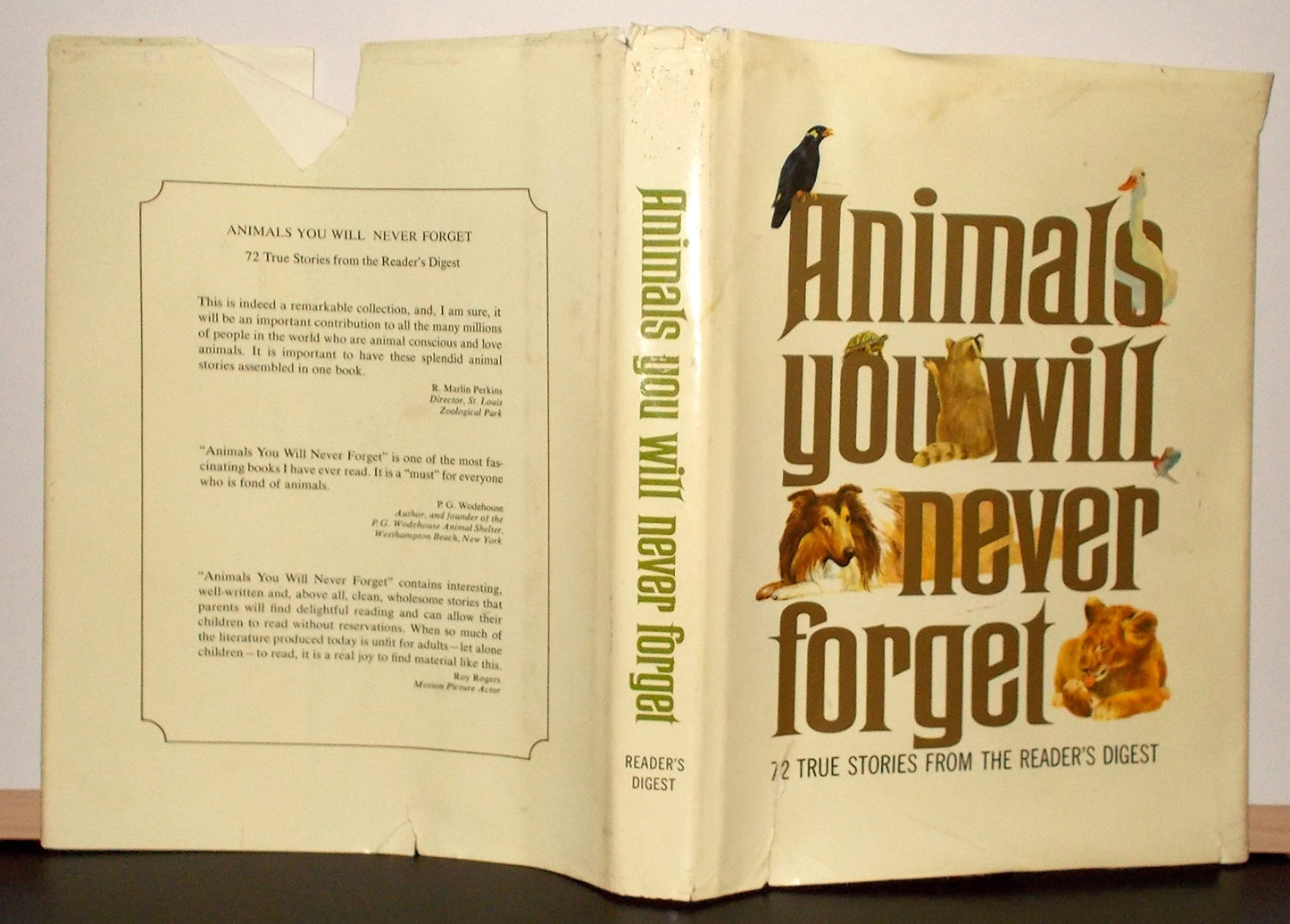 Animals You Will Never Forget