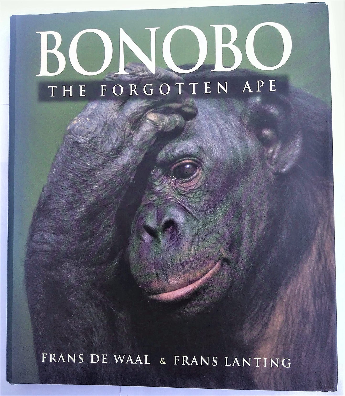 Bonobo: The Forgotten Ape