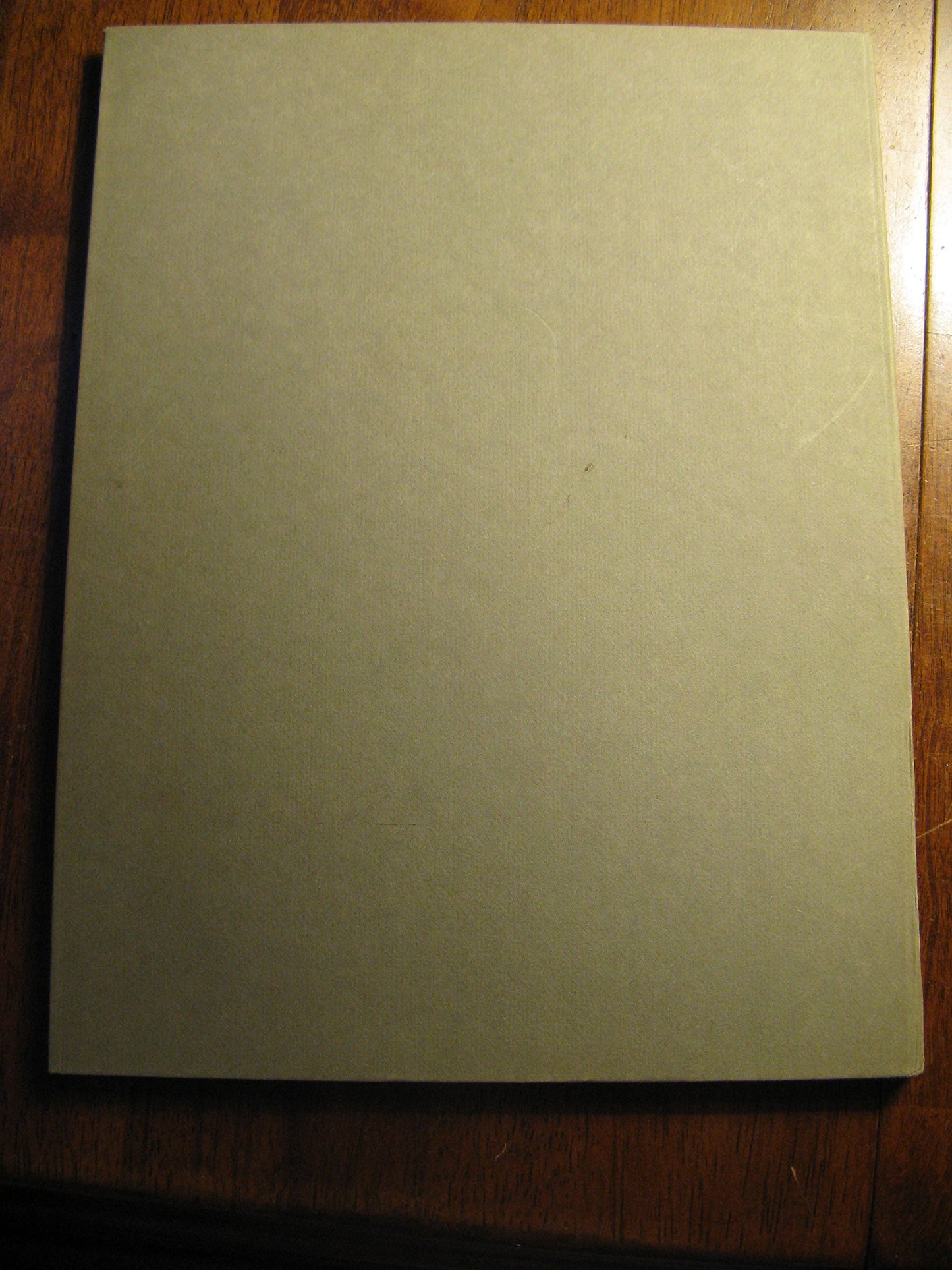 Metropolitan Seminars in Art, Portfolio 11: The Artist as a Social Critic