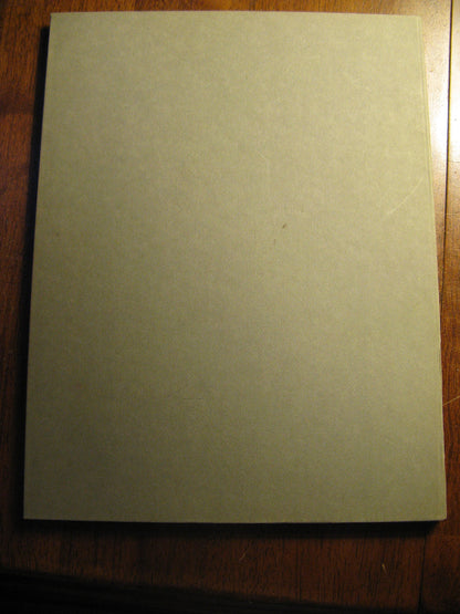 Metropolitan Seminars in Art, Portfolio 11: The Artist as a Social Critic