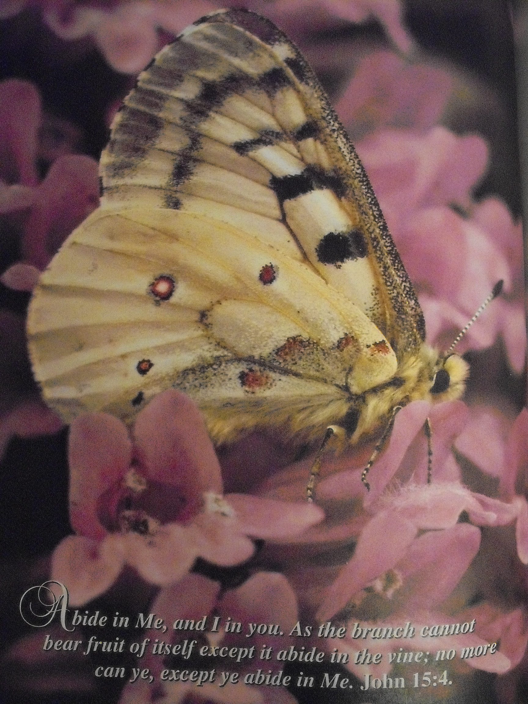 f2f1b2cf-5475-47e7-851a-1c973dd70bcd