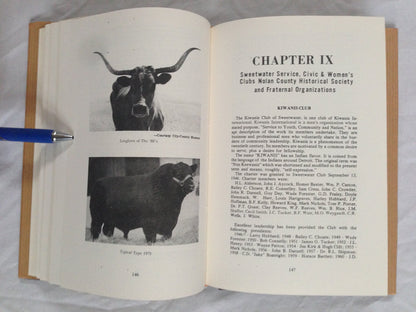 History of Nolan County, Texas