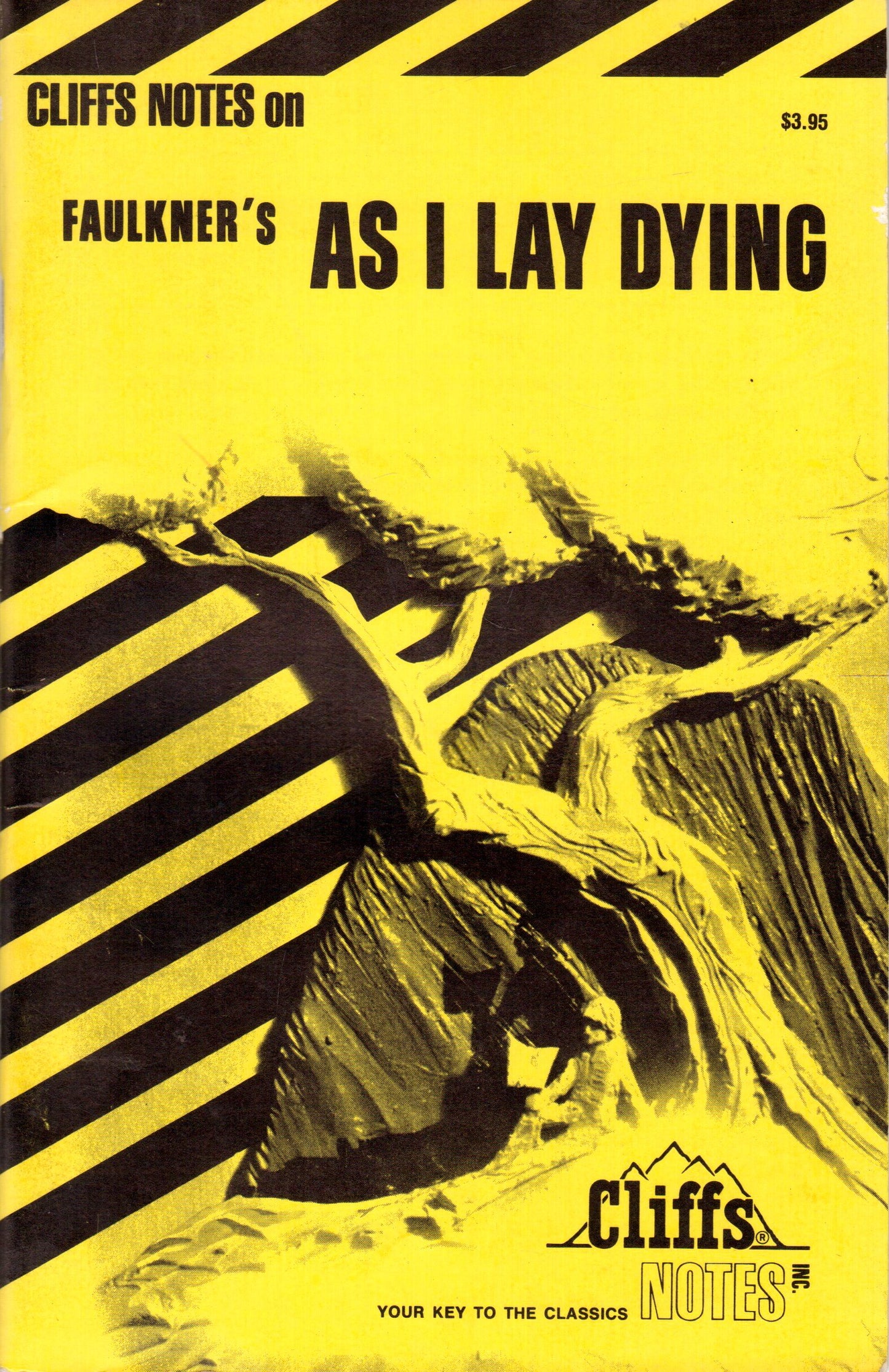 Cliffs Notes on Faulkners As I Lay Dying by James Roberts
