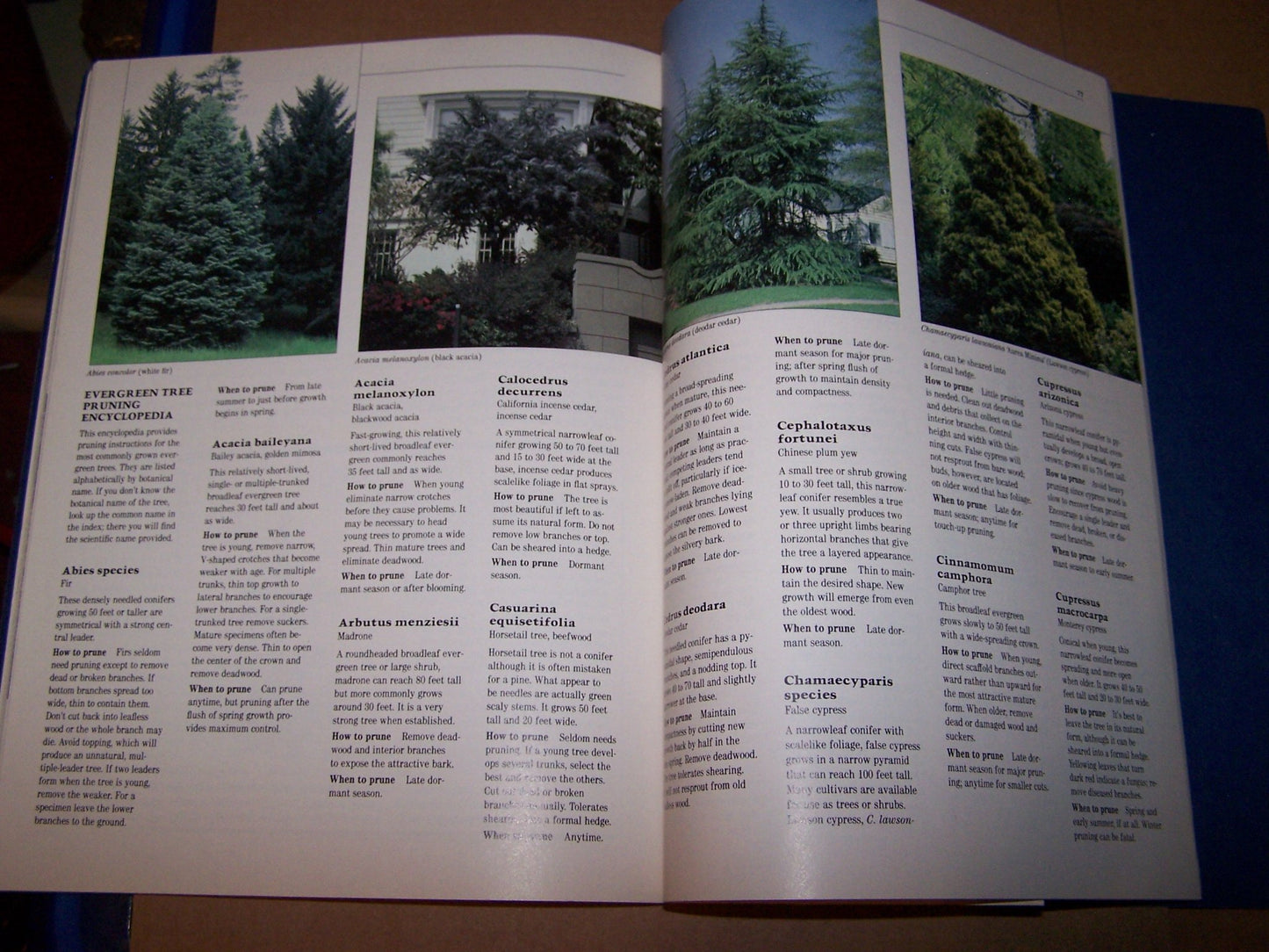All About Pruning