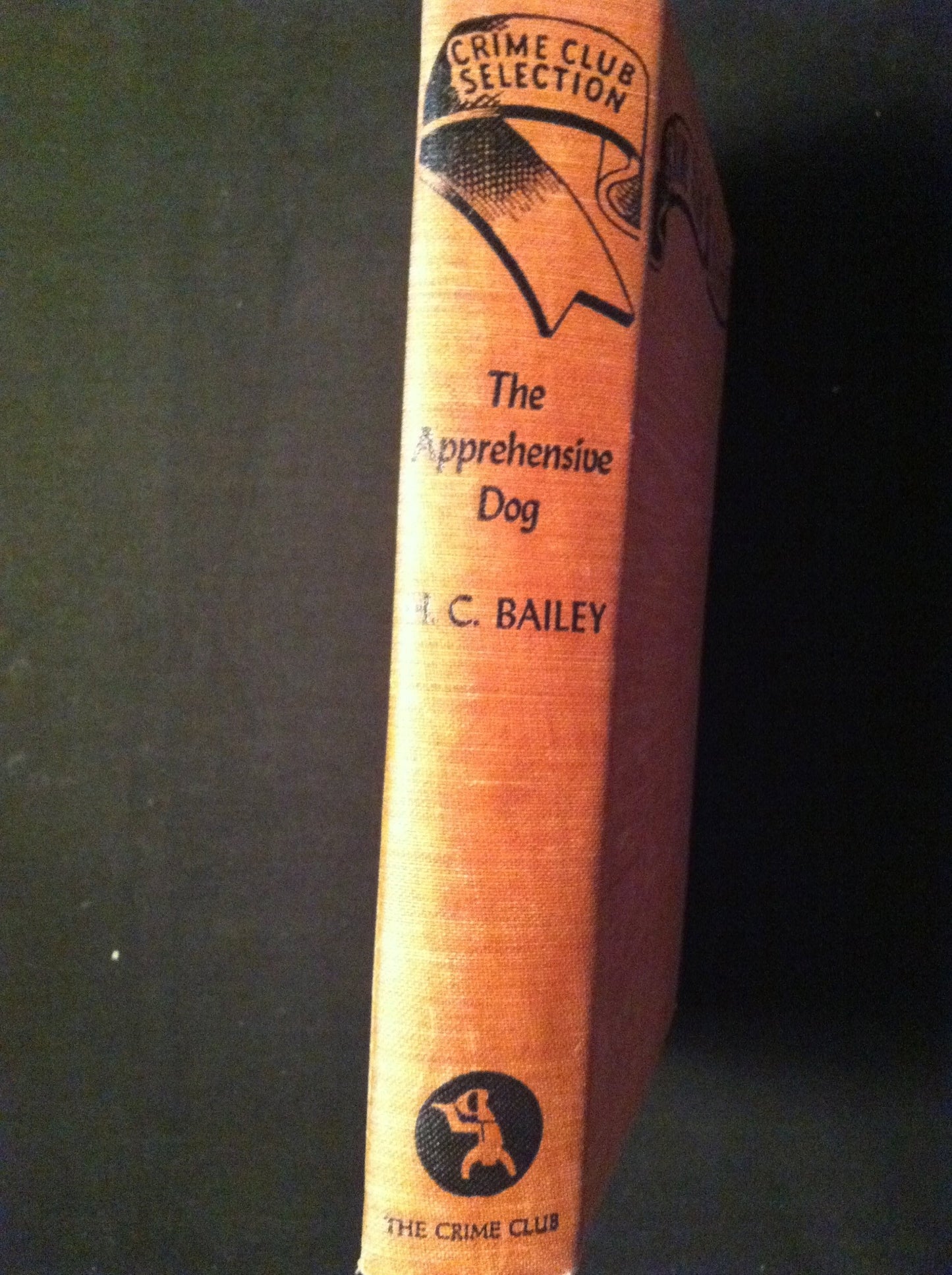 The Apprehensive Dog