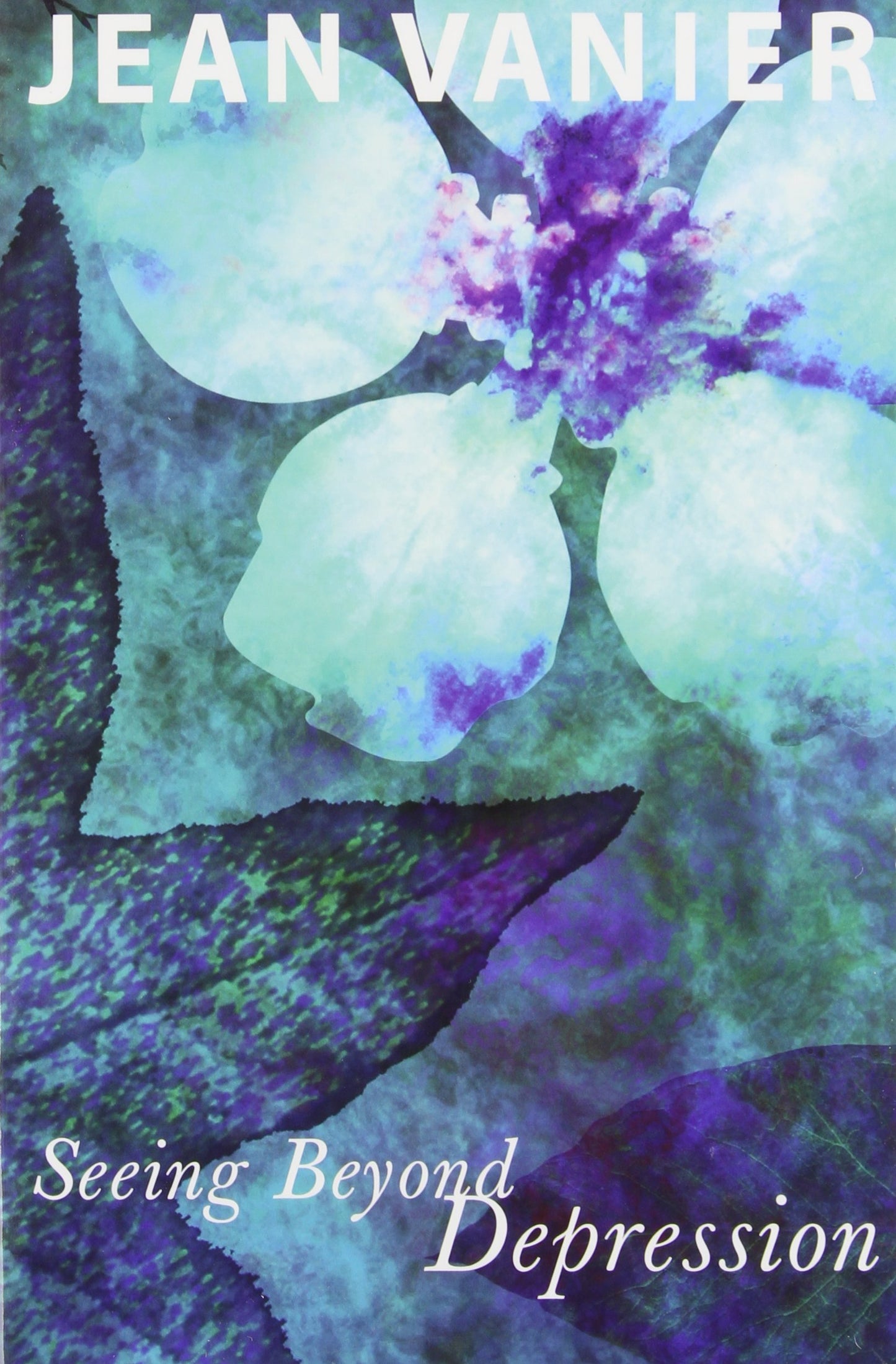 Seeing beyond Depression