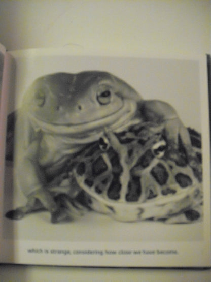 Friends to the End: The True Value of Friendship