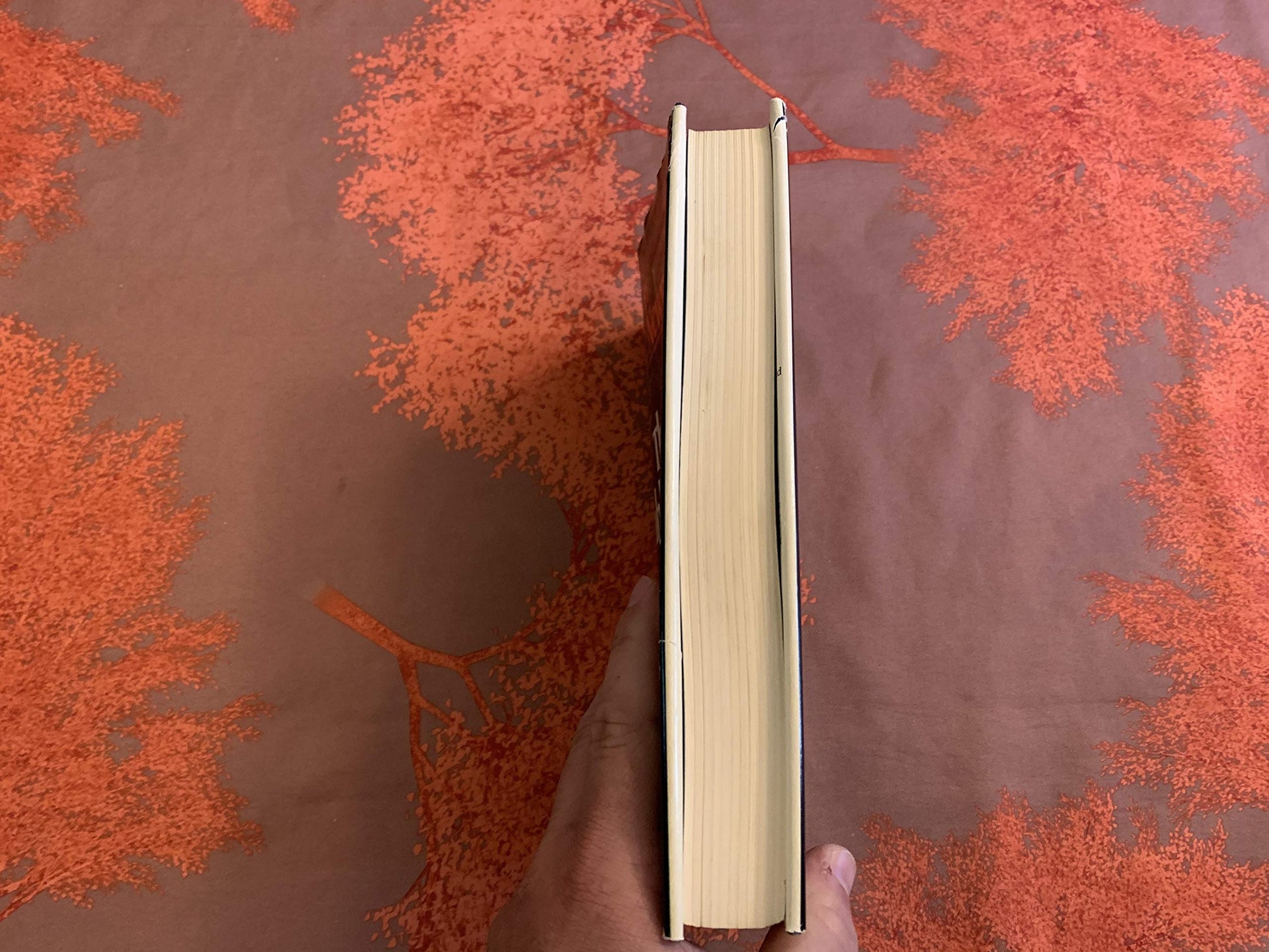 96af1040-200b-4e95-9738-a753b2c0ceac