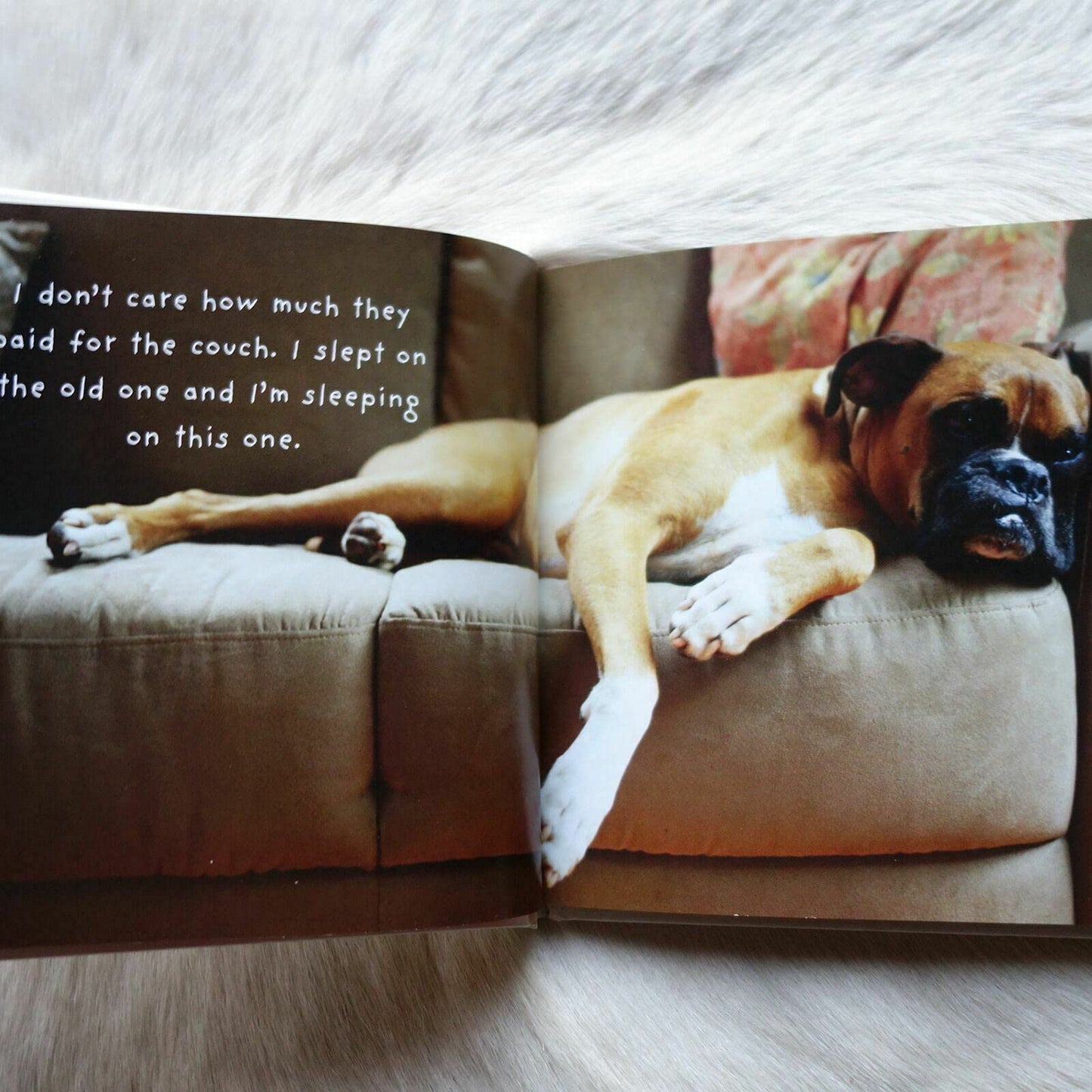 971850fd-59bc-40d2-a692-dfc782dc68ff