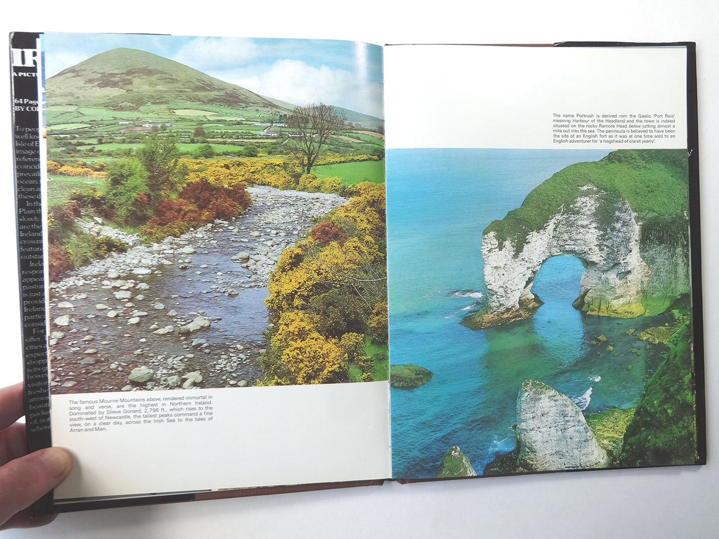 99ad4822-6511-4e77-8c61-87b72c456541