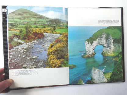 99ad4822-6511-4e77-8c61-87b72c456541