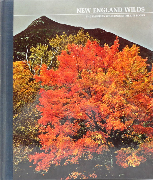 New England Wilds