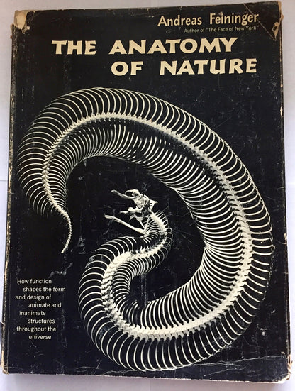 The Anatomy of Nature: How Function Shapes the Form and Design of Animate and Inanimate Structures Throughout the Universe