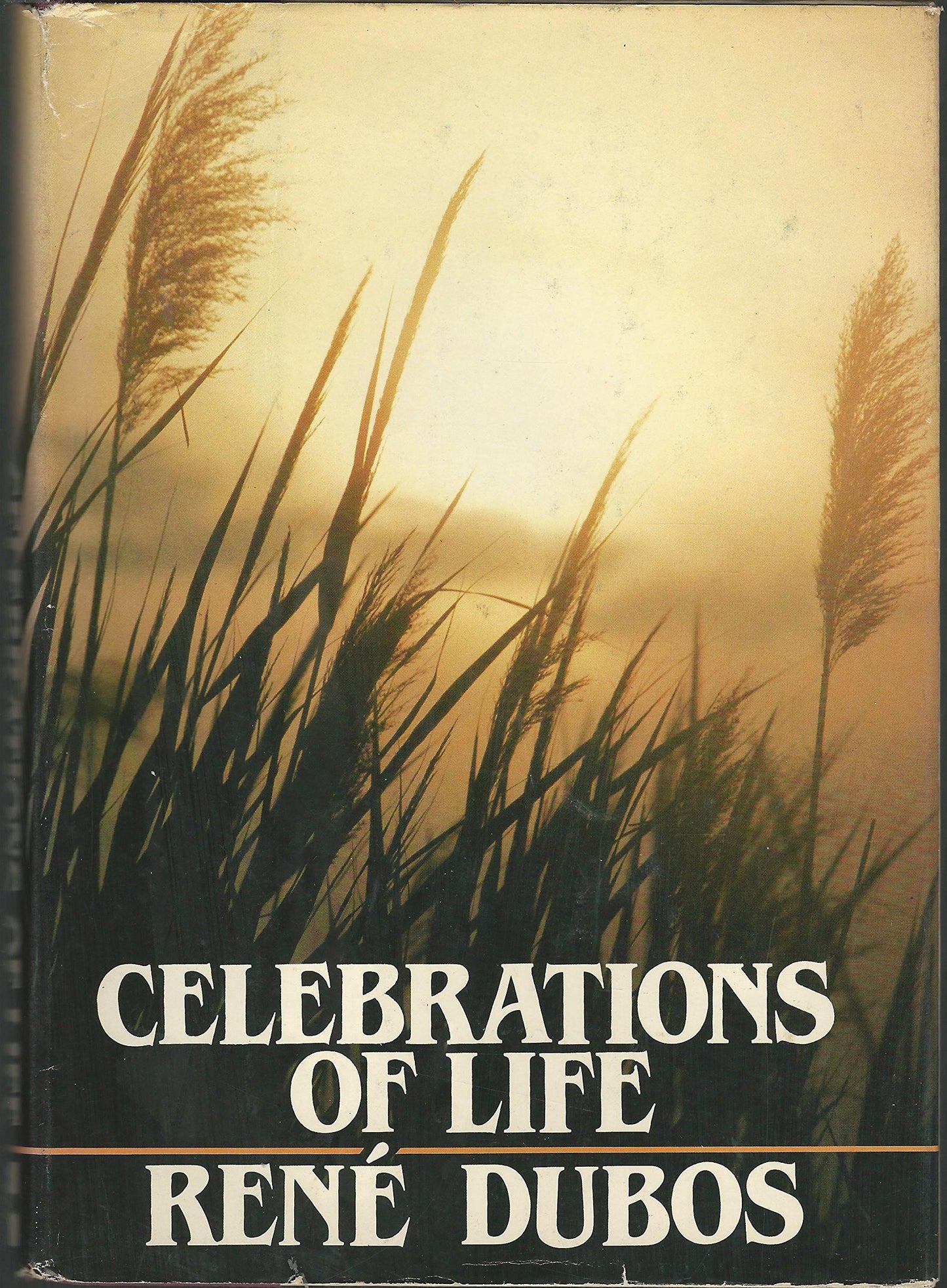 Celebrations of life