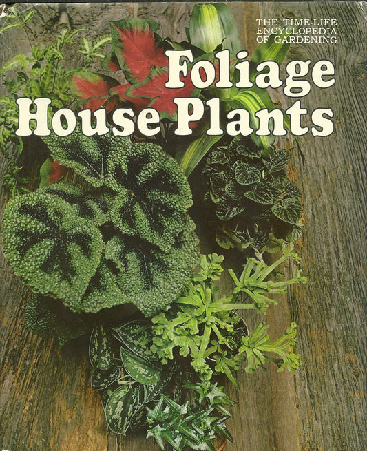 Foliage House Plants