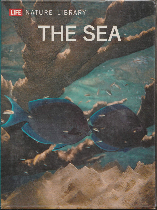 The sea (Life nature library)