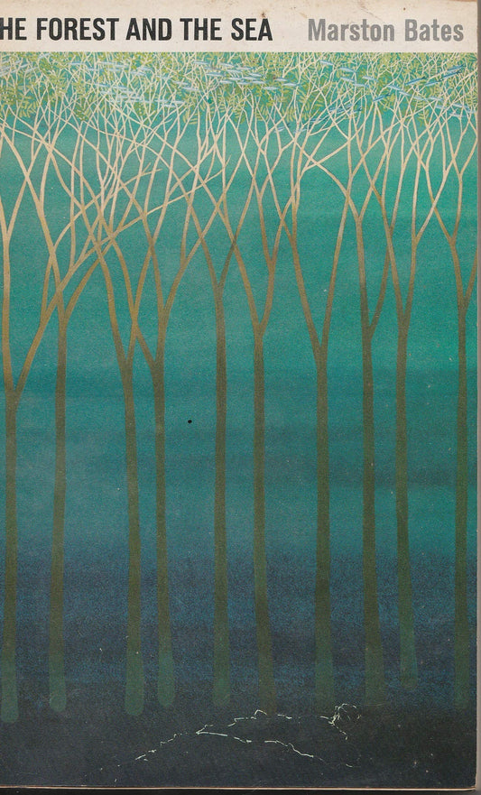 Forest and the Sea