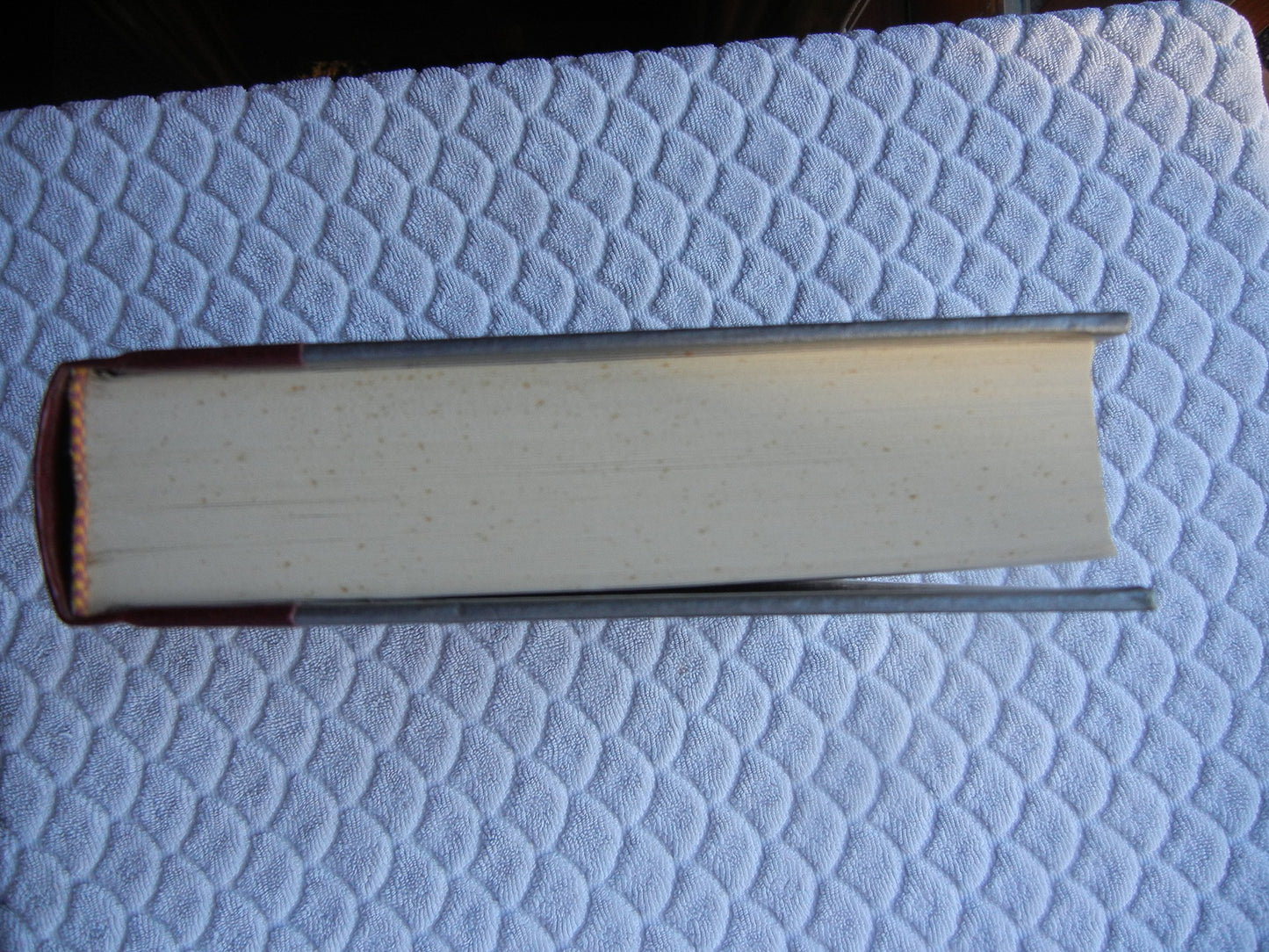 The Old Curiosity Shop (The World's Best Reading)