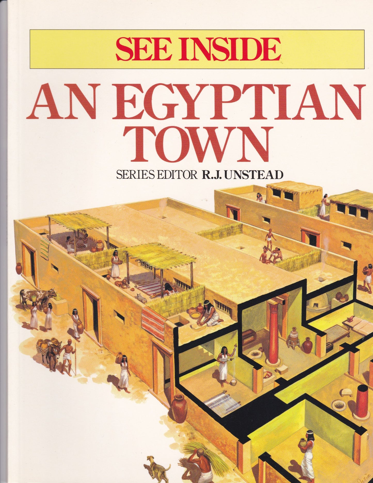 An Egyptian town (See inside)