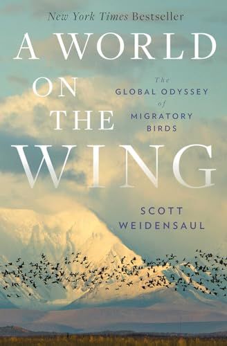 World On the Wing