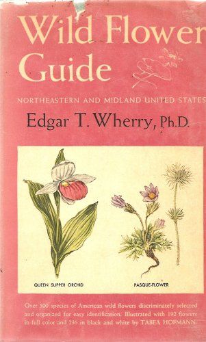 Wild Flower Guide